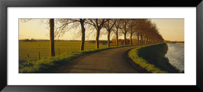 Winding Road, Trees, Oudendijk, Netherlands by Panoramic Images Pricing Limited Edition Print image