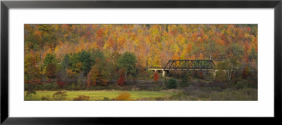 Railway Bridge In A Forest, Central Bridge, New York State, Usa by Panoramic Images Pricing Limited Edition Print image