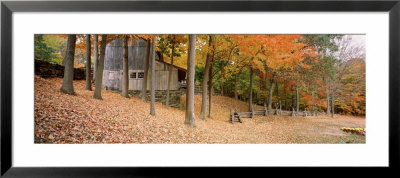 Trees On A Hill, Connecticut, Usa by Panoramic Images Pricing Limited Edition Print image