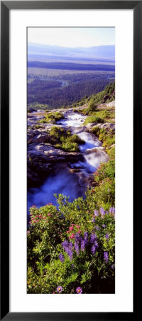 High Angle View Of A Waterfall, Ribbon Falls, Yosemite National Park, California, Usa by Panoramic Images Pricing Limited Edition Print image