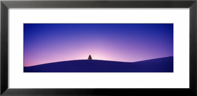 Tree On Hill Silhouette In Sunset, Winter, Vermont, Usa by Panoramic Images Pricing Limited Edition Print image