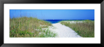 Path To Beach, Venice, Florida, Usa by Panoramic Images Pricing Limited Edition Print image