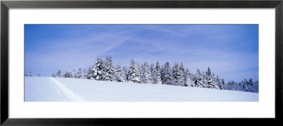 Winter Hillside With Ski Tracks, Vermont, Usa by Panoramic Images Pricing Limited Edition Print image