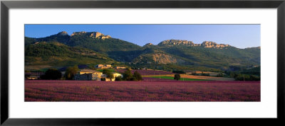 Lavender Fields And Farms, High Provence, La Drome, France by Panoramic Images Pricing Limited Edition Print image