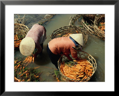 Women Washing Carrots In River Water Da Lat, Lam Dong, Vietnam by Glenn Beanland Pricing Limited Edition Print image