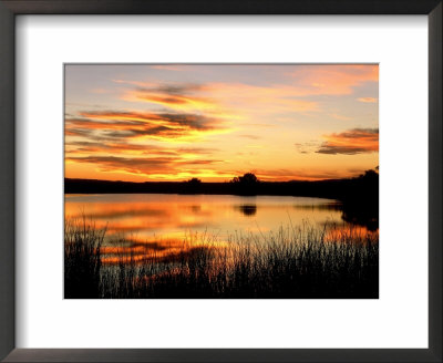Sunset Light On A Pond At Chico Basin Ranch, Colorado by Willard Clay Pricing Limited Edition Print image
