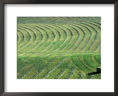 Hay Patterns Near Bozeman, Montana, Usa by Chuck Haney Pricing Limited Edition Print image