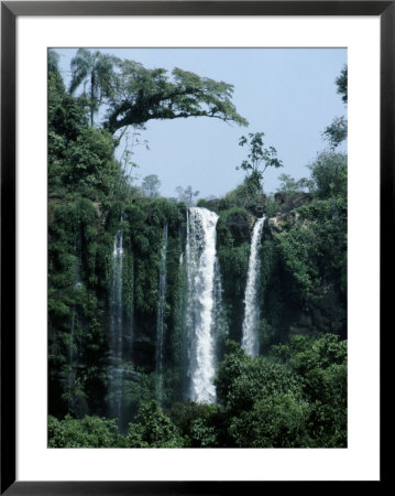 Beautiful Waterfall Surrounded By Pristine Subtropical Rainforest by Jason Edwards Pricing Limited Edition Print image