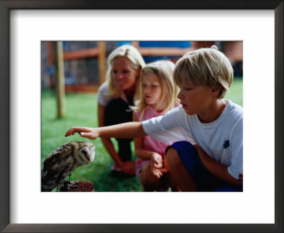Boy Patting An Owl At The Spier Wildlife Shelter, Cape Town, Western Cape, South Africa by Philip & Karen Smith Pricing Limited Edition Print image