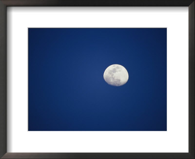 Three-Quarter Moon Over Ranthambhore National Park by Jason Edwards Pricing Limited Edition Print image