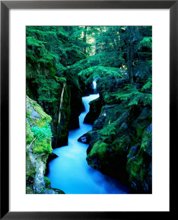 Water Rushing Through Avalanche Creek Gorge, Glacier National Park, Montana by Holger Leue Pricing Limited Edition Print image