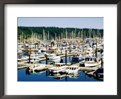Friday Harbour In Puget Sound, San Juan Island, Washington by John Elk Iii Pricing Limited Edition Print image