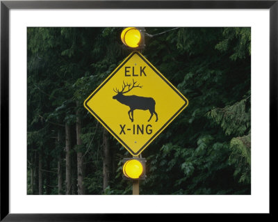 Worlds First Elk-Activated Crosswalk Sign In Sequim, Washington by Melissa Farlow Pricing Limited Edition Print image