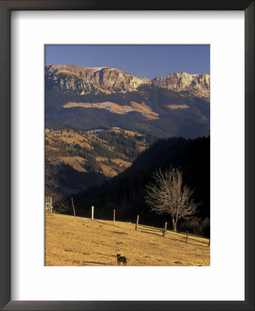 Buchegi Ut, Bran Region, Romania by Gavriel Jecan Pricing Limited Edition Print image