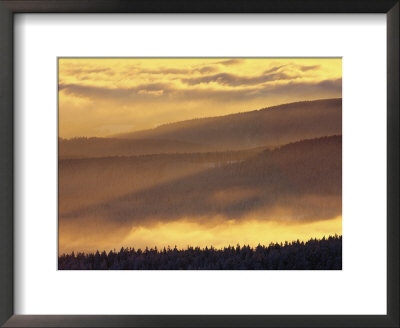Brocken Mountain Landscape In Golden Light by Norbert Rosing Pricing Limited Edition Print image
