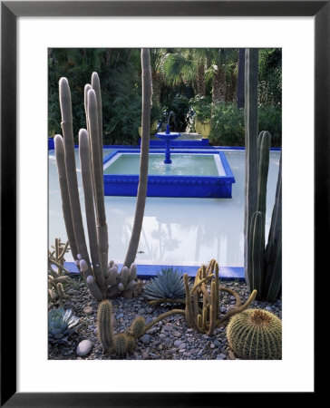 Jardin Majorelle, Marrakesh (Marrakech), Morocco, North Africa, Africa by Bruno Morandi Pricing Limited Edition Print image