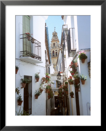 Calleja De Las Flores (Flower Alley), Spain by Lynn Seldon Pricing Limited Edition Print image