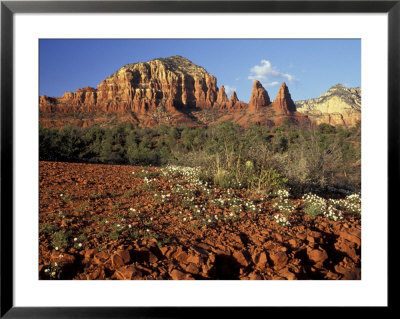 Red Rock Country, Sedona, Arizona, Usa by Jamie & Judy Wild Pricing Limited Edition Print image