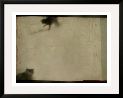 Blurred Cats by Mia Friedrich Pricing Limited Edition Print image