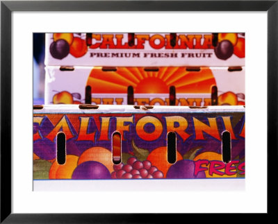 Californian Fruit Boxes, Marin Farmers Market, Marin County, United States Of America by Jerry Alexander Pricing Limited Edition Print image