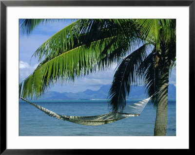 Hammock, Tahiti, Society Islands, French Polynesia, South Pacific Islands, Pacific by Sylvain Grandadam Pricing Limited Edition Print image