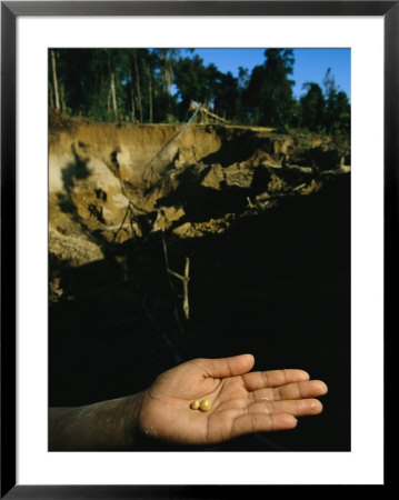 Two Small Pellets Of Gold In A Hand With A Mining Hole Backdrop by Steve Winter Pricing Limited Edition Print image
