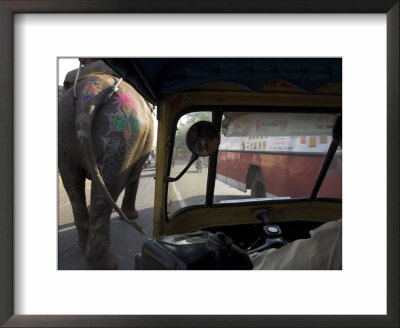 Elephant And Bus On The Road Seen From A Motor Rickshaw, Jaipur, Rajasthan State, India by Eitan Simanor Pricing Limited Edition Print image