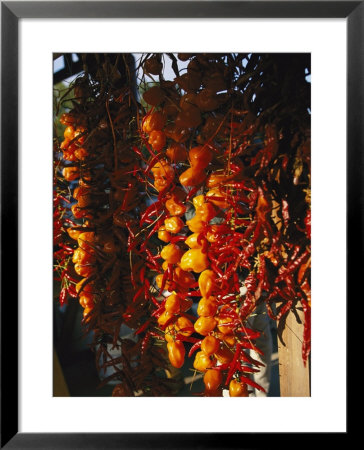 Organically-Grown Peppers Are Hung At The Cary Farmers Market by Stephen Alvarez Pricing Limited Edition Print image