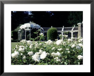 Waddesdon Manor Garden, England by Lauree Feldman Pricing Limited Edition Print image