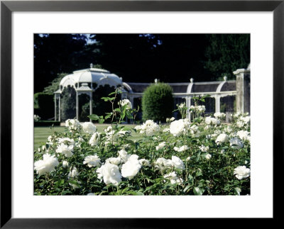 Waddesdon Manor Garden, England by Lauree Feldman Pricing Limited Edition Print image