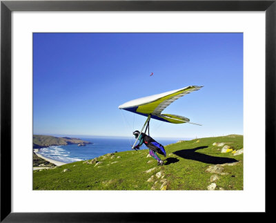 Hang Glider, Otago Peninsula, South Island, New Zealand by David Wall Pricing Limited Edition Print image