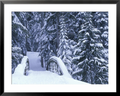 Snow-Covered Bridge And Fir Trees, Washington, Usa by John & Lisa Merrill Pricing Limited Edition Print image