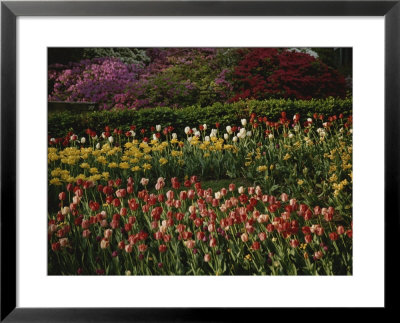 A Colorful Combination Of Garden Flowers At The Wardman Park Hotel by Stephen St. John Pricing Limited Edition Print image