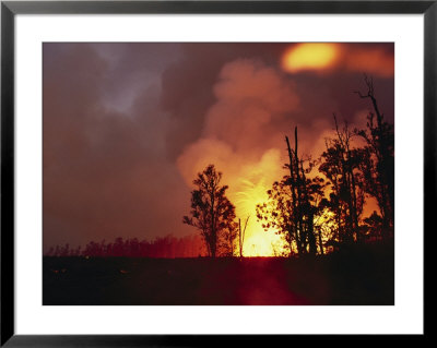 Lava And Fire From A Kilauea Spray Into The Air, Silhouetting Trees Against The Night Sky by William Allen Pricing Limited Edition Print image
