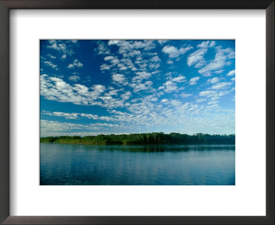 View Of The Guyabeno Reserve Across The Aguarico River by James P. Blair Pricing Limited Edition Print image