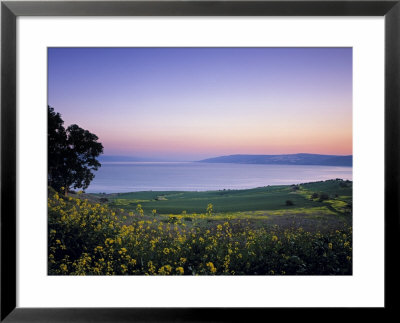 Sea Of Galilee, Israel by Jon Arnold Pricing Limited Edition Print image