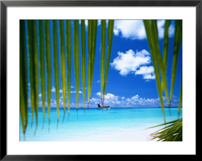 Hydroplane, Ari Atoll, White Sands Island by Angelo Cavalli Pricing Limited Edition Print image