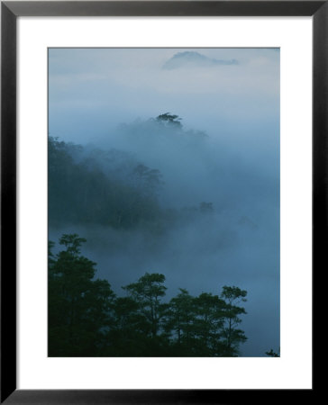 Fog Clings To Tree-Filled Mountainsides by Jodi Cobb Pricing Limited Edition Print image