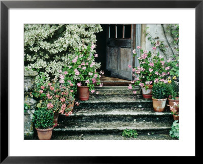 Stone Steps Leading To A Wooden Door With Pots Of Pelargonium And Buxus by Linda Burgess Pricing Limited Edition Print image