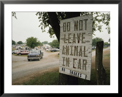 A Sign Prohibits Animals Left In Cars And Snakes In The Marketplace by Stephen St. John Pricing Limited Edition Print image