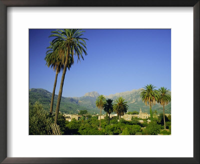 Puerto Pollensa, Majorca (Mallorca), Balearic Islands, Spain, Europe by Ruth Tomlinson Pricing Limited Edition Print image