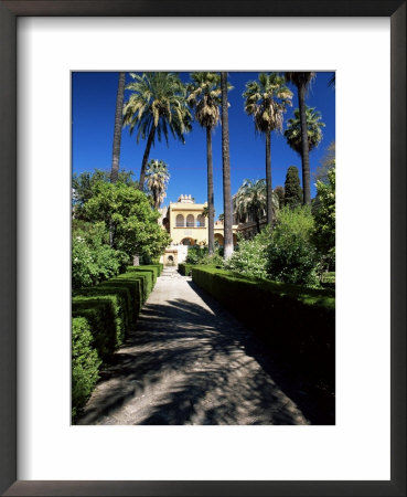 The Gardens Of The Reales Alcazares (Alcazar), Seville, Andalucia (Andalusia), Spain, Europe by Ruth Tomlinson Pricing Limited Edition Print image