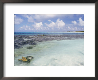 Espenqui, Los Roques, Venezuela, South America by Sergio Pitamitz Pricing Limited Edition Print image