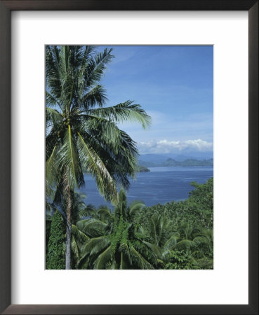 Tropical Coastal Scenery, Bougainville Island, Papua New Guinea, Pacific by Mrs Holdsworth Pricing Limited Edition Print image