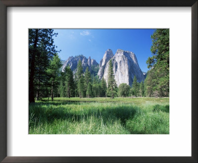 View Across Meadows To Cathedral Rocks, Yosemite National Park, Unesco World Heritage Site, Usa by Ruth Tomlinson Pricing Limited Edition Print image