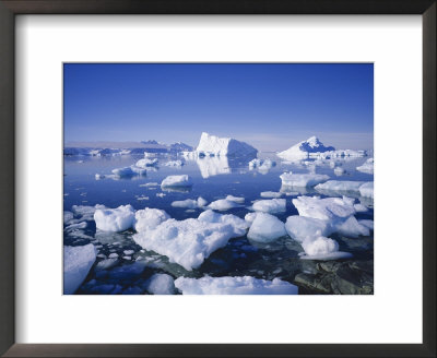 Icebergs And Brash Ice, Antarctica, Polar Regions by Geoff Renner Pricing Limited Edition Print image