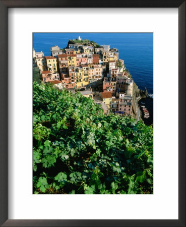 Manarola Town From Above, Cinque Terre, Liguria, Italy by John Elk Iii Pricing Limited Edition Print image