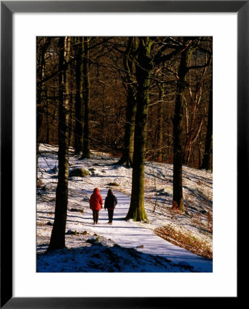 Walkers On Snow Covered Path In Woodland At Grasmere, Lake District National Park, Cumbria, England by David Tomlinson Pricing Limited Edition Print image