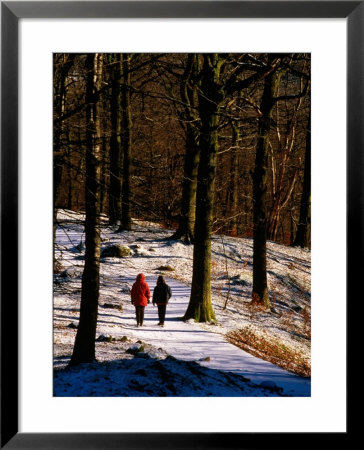 Walkers On Snow Covered Path In Woodland At Grasmere, Lake District National Park, Cumbria, England by David Tomlinson Pricing Limited Edition Print image