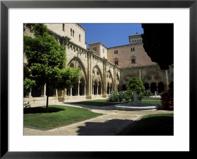 Cloister Garden, Tarragona Cathedral, Tarragona, Catalonia, Spain by Ruth Tomlinson Pricing Limited Edition Print image